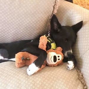 Meet your Posher, Bill